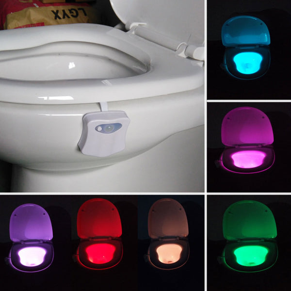 LED Toilet Motion Activaated Colored Night Light - Bachelor Hut