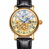 Switzerland Luxury Gold Self-Wind Skeleton Watch - Bachelor Hut